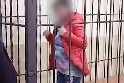 В Хабаровске женщина стала регулярно избивать шестилетнюю дочь и поплатилась