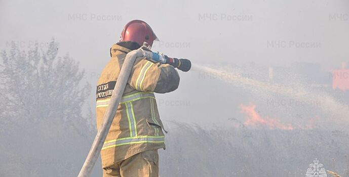 С начала года на Дону произошло 887 ландшафтных пожаров
