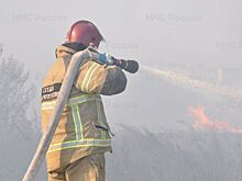 С начала года на Дону произошло 887 ландшафтных пожаров