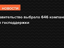 Правительство выбрало 646 компаний для господдержки