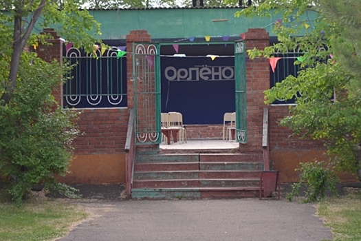 Причиной массового отравления детей в омском лагере стала грудка цыпленка