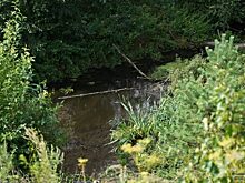 Под Нижним Тагилом сливают в реку «фекальные стоки»