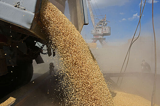 В Госдуме назвали виновных в срыве «зерновой сделки»
