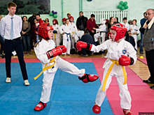 в Пскове состоялся XII Открытый Чемпионат и Первенство города по тхэквондо