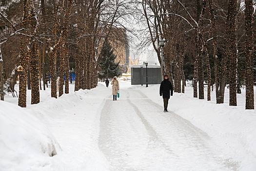 В Новосибирске на завершение благоустройства шести парков, скверов и аллей потратят более 230 млн рублей