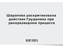 Айза Анохина раскритиковала намерение Грудинина лишить экс-жену инвалидности