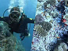 Ирина Дубцова поплавала среди опасных для жизни рыб