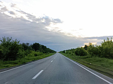 Водитель на иномарке насмерть сбил лося