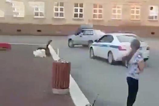 Погоня местных жителей за пьяным водителем в Норильске попала на видео