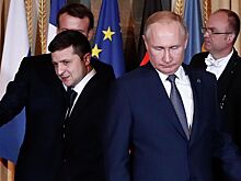 В МИД РФ оценили вероятность встречи Путина с Зеленским