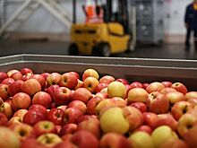 В России подскочили цены на яблоки