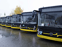 Сургут потратит 434 миллиона на покупку 25 новых автобусов