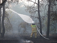 В Волгоградской области с 20 марта стартует пожароопасный сезон
