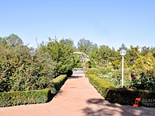 В ботсаду Пермского университета замерзают растения: сотрудники просят помощь у губернатора