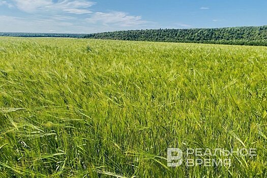 В Татарстане присвоены почетные звания за заслуги в сельском хозяйстве