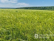 В Татарстане присвоены почетные звания за заслуги в сельском хозяйстве
