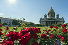 Синоптик заявил, что июнь в Петербурге закончится дефицитом осадков