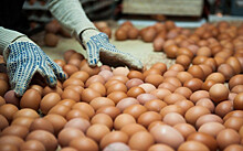 В Новосибирске заметили яйца по 40 рублей за десяток