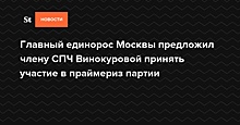 Главный единорос Москвы предложил члену СПЧ Винокуровой принять участие в праймериз партии — Daily Storm