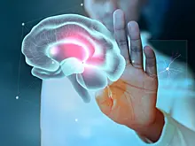 Нейропсихолог: кто это и в каких случаях к нему обращаться