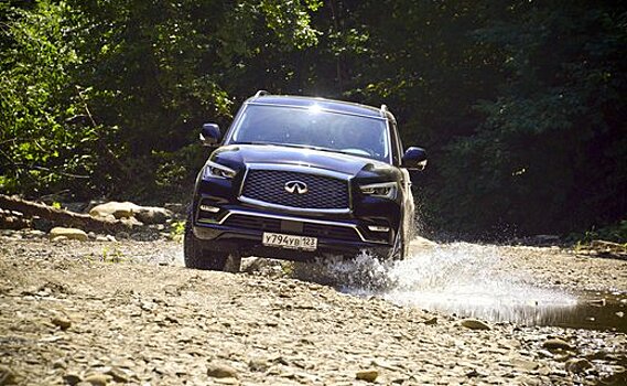 Infiniti QX80 Luxe