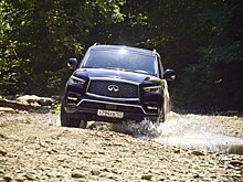 Infiniti QX80 Luxe