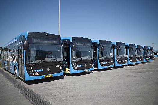 Пассажирам в городском транспорте предложили цифровой сервис по оценке качества перевозки