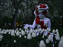 Экскурсии, квест-игры и сказкотерапия: как пройдет в Москве «Ночь музеев»