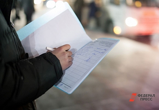 Аудиторы приедут с проверкой в элитный челябинский поселок