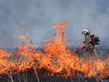 В 2019 году Башкирия обеспечена лесопожарной техникой на 86,5%