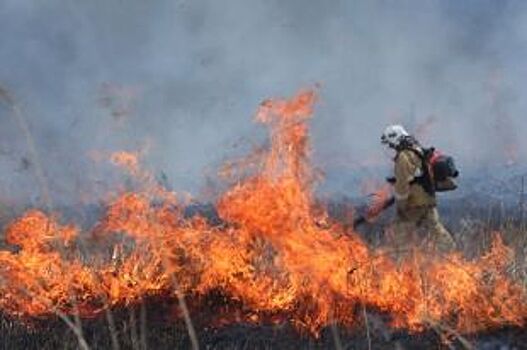 В Приморском крае продолжают гореть леса