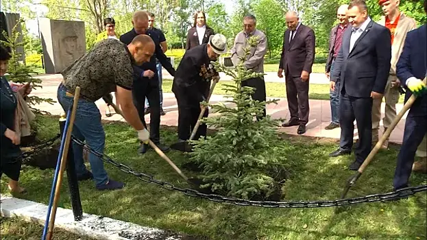 В Безенчукском районе высадили ели возле мемориала павшим в годы ВОВ сотрудникам НИИ