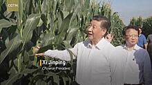 Лидер КНР назвал чернозём «большой пандой» и призвал его беречь