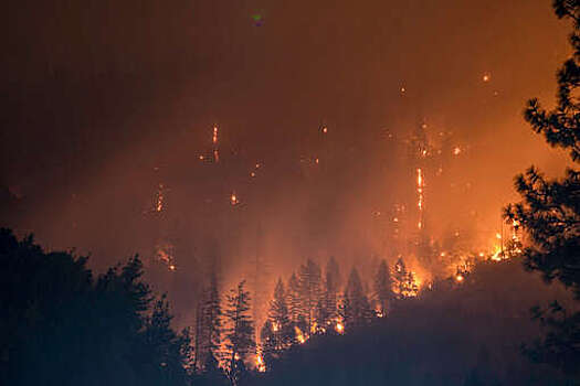 Число лесных пожаров в Томской области снизилось почти вдвое за два дня