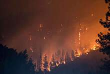 В Канаде площадь сгоревших территорий от лесных пожаров составила 13 млн га