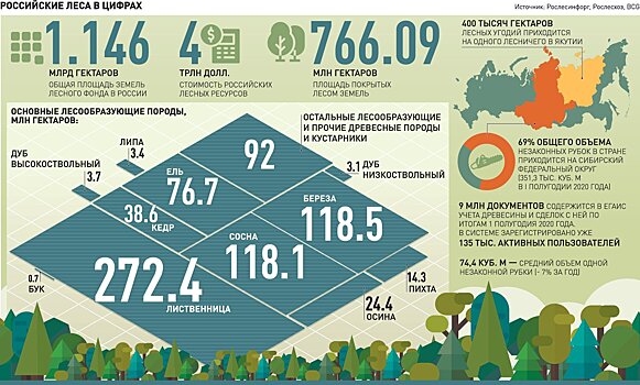 Заготовки древесины выведут из тени на свет