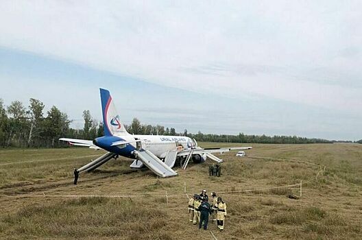 Севший в поле в Новосибирской области самолет A320 попробуют восстановить