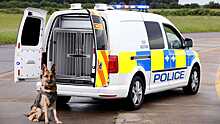 Volkswagen сделал фургон для полицейских собак