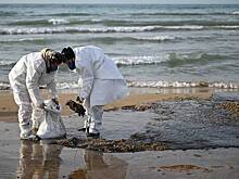 В России прошли молебны об очищении Черного моря от мазута