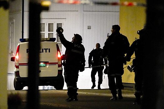 Преступник убил пять человек из лука в Норвегии