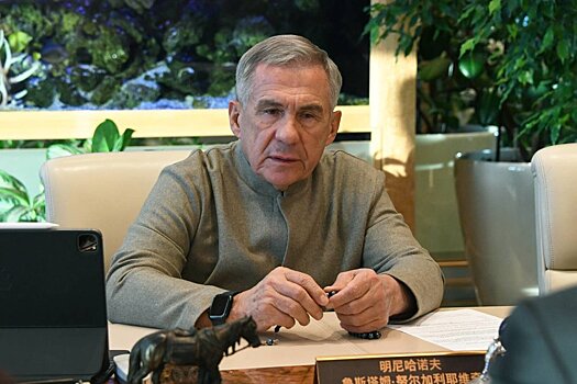 Минниханов: новогодние мероприятия в Татарстане прошли благополучно