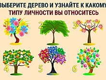 Тест: выберите дерево и узнайте какой у вас тип характера