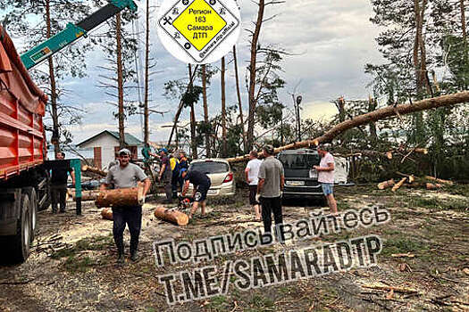 В Самарской области ураган завалил машины на стоянке деревьями