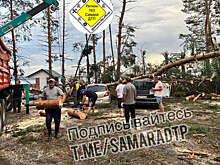 В Самарской области ураган завалил машины на стоянке деревьями