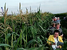 Начаты съемки фильма о посадивших самолет в кукурузном поле пилотах