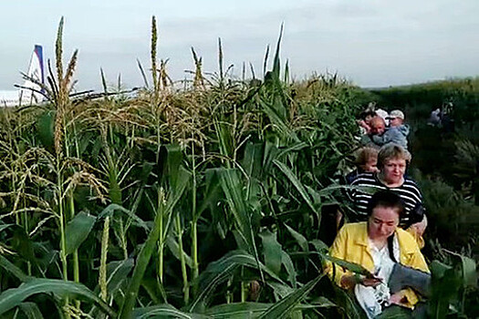 Начаты съемки фильма о посадивших самолет в кукурузном поле пилотах