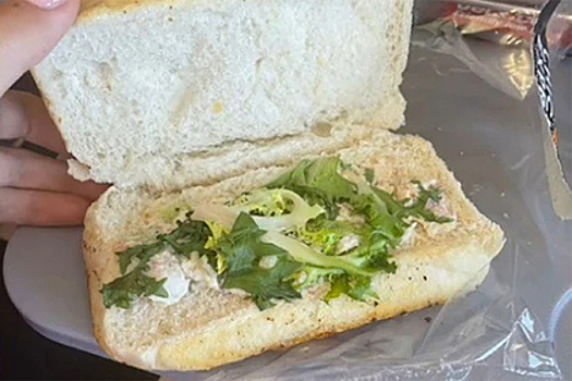 Пассажирка самолета заказала на борту обед и расстроилась до слез от его вида