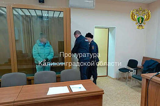 В Калининграде женщину арестовали за убийство новорожденного внука в 2016 году