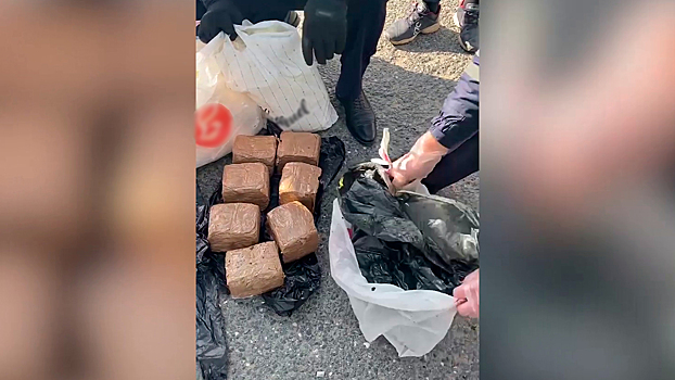 В Казани сотрудники правоохранительных органов изъяли у курьера 12 кг мефедрона и 7 кг гашиша