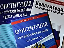 Сколько денег выделят на голосование по Конституции